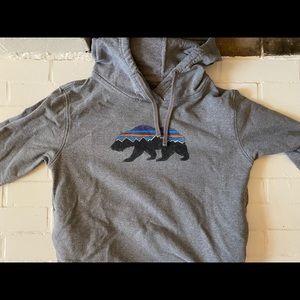 Patagonia grey hoodie